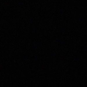 Meet your Posher, Gerwin